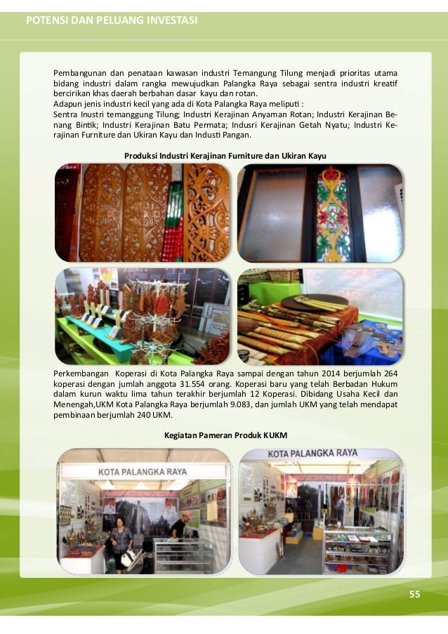 Selayang pandang kota palangka raya tahun 2019 Selayang pandang kota palangka raya tahun 2019