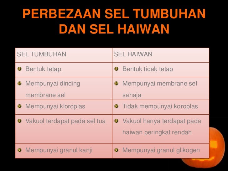 Sel Benda Hidup