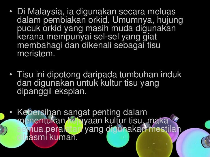 Jadikan Gaya Hidup Aktif Anak Anda Lebih Ceria Dengan Snek Lazat Fernleaf Yogurt Calciyum Dan Susu Kultur Fernleaf Calciyum