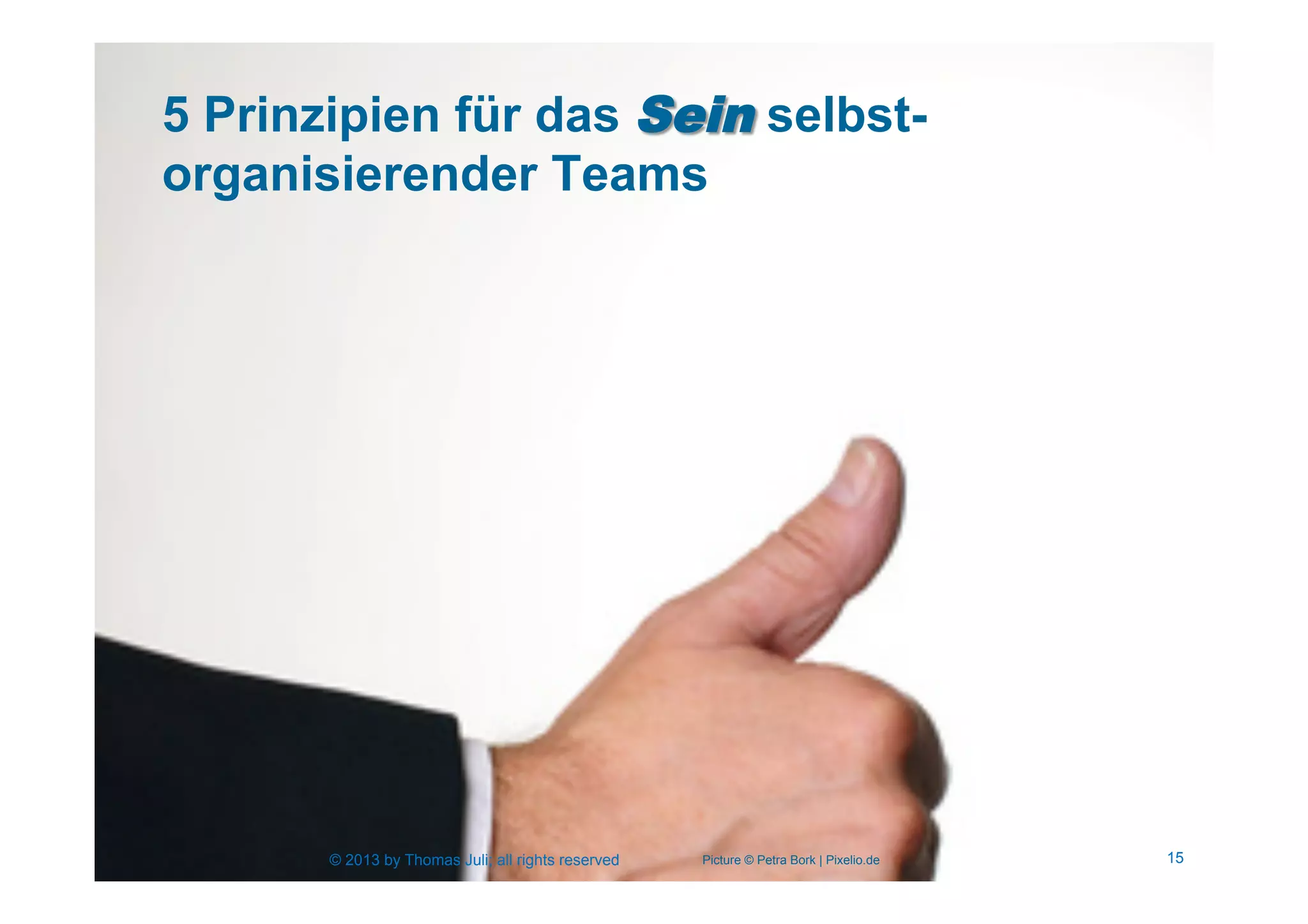 15© 2013 by Thomas Juli; all rights reserved
5 Prinzipien für das Sein selbst-
organisierender Teams
Picture © Petra Bork | Pixelio.de© 2013 by Thomas Juli; all rights reserved 15
 