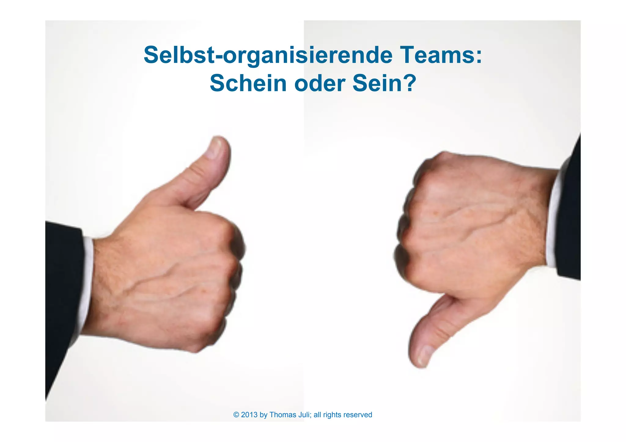 29© 2013 by Thomas Juli; all rights reserved
Selbst-organisierende Teams:
Schein oder Sein?
© 2013 by Thomas Juli; all rights reserved
 