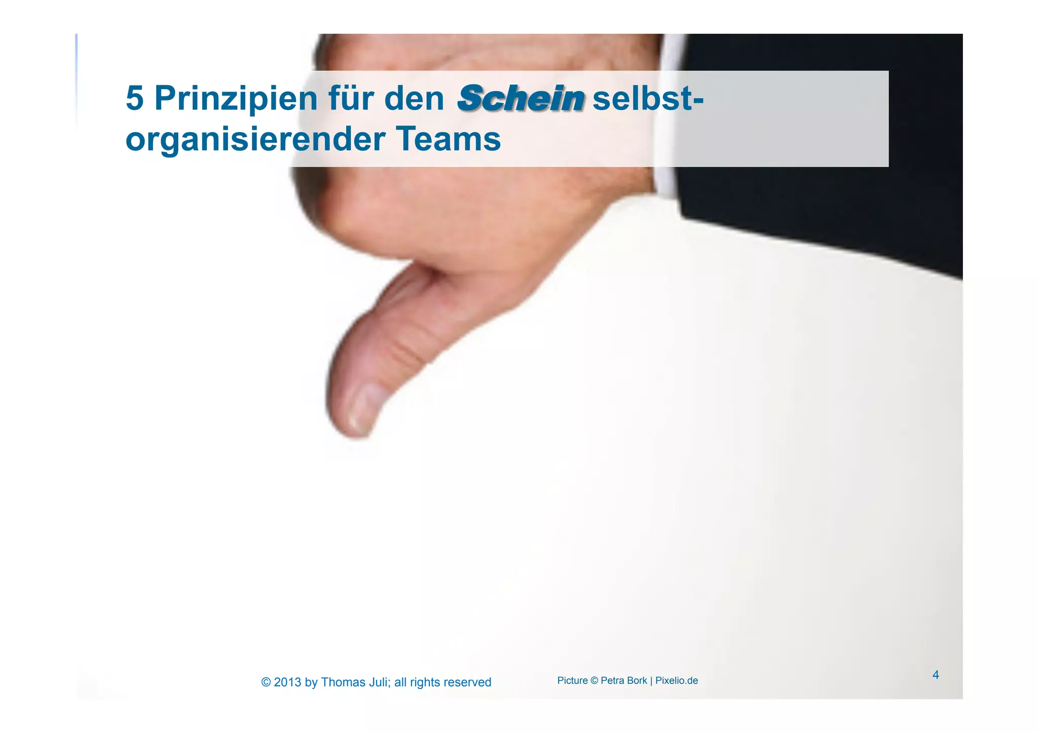 © 2013 by Thomas Juli; all rights reserved
5 Prinzipien für den Schein selbst-
organisierender Teams
Picture © Petra Bork | Pixelio.de 4
 
