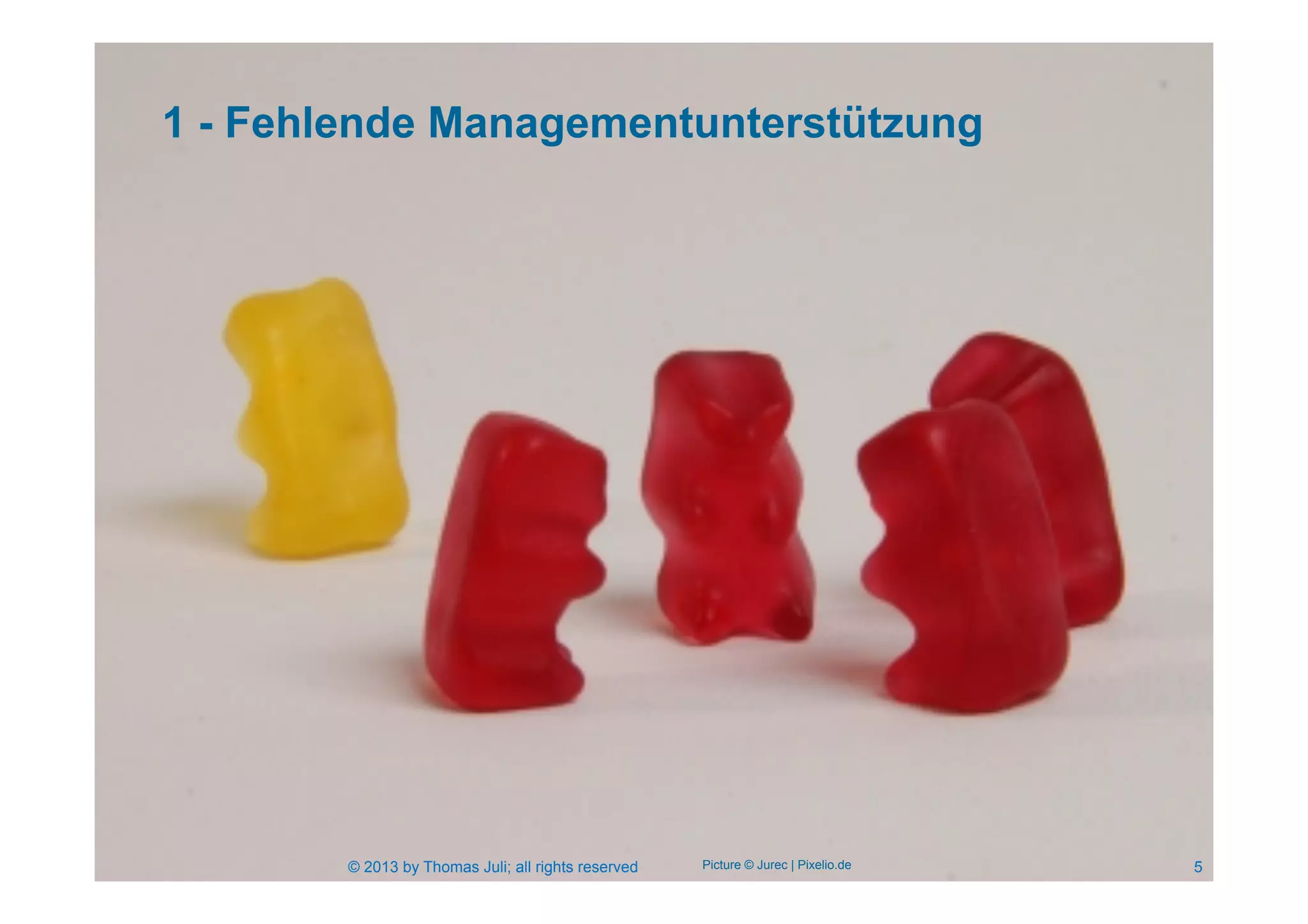 1 - Fehlende Managementunterstützung
5© 2013 by Thomas Juli; all rights reserved Picture © Jurec | Pixelio.de
 