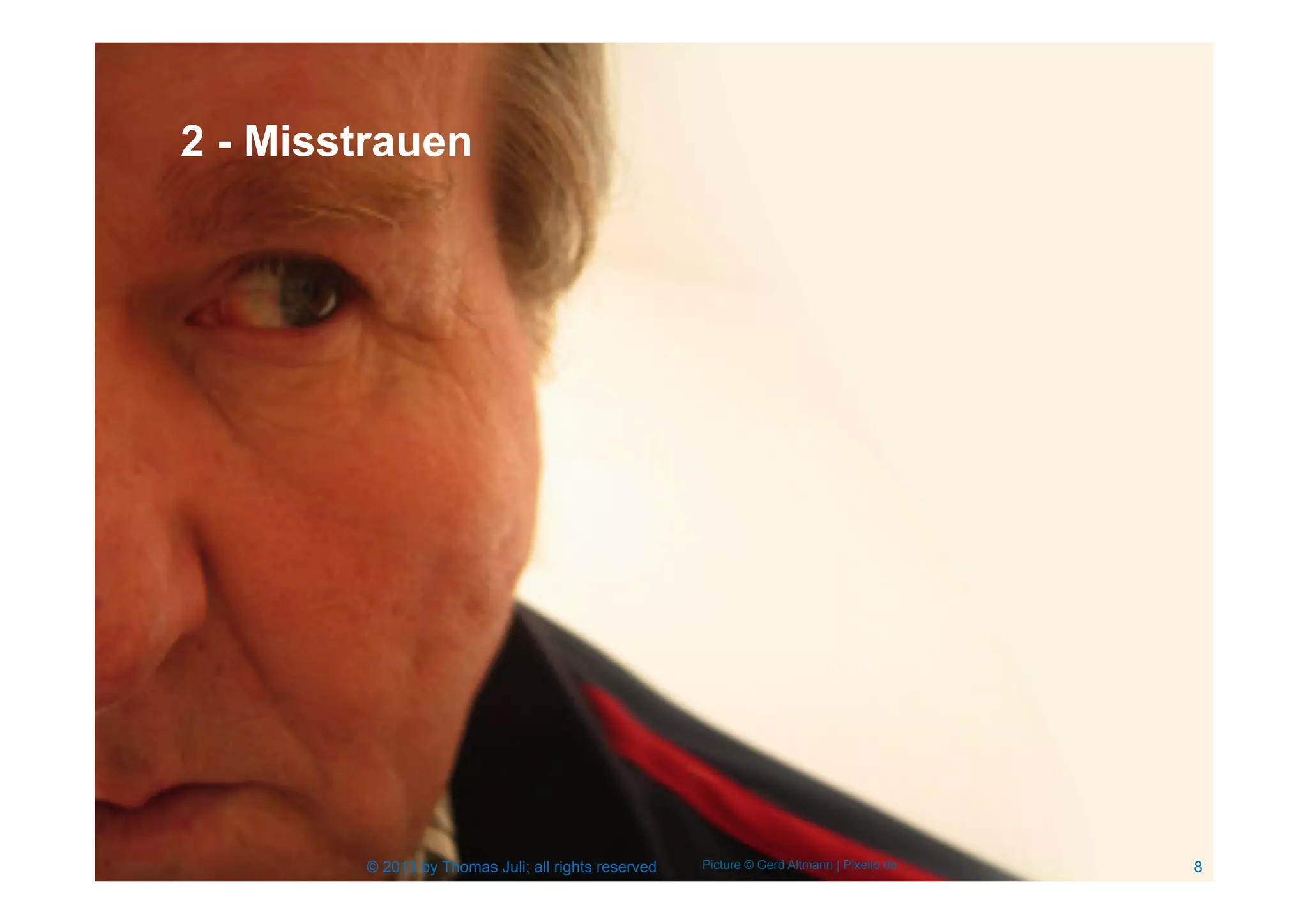 8© 2013 by Thomas Juli; all rights reserved Picture © Gerd Altmann | Pixelio.de
2 - Misstrauen
 