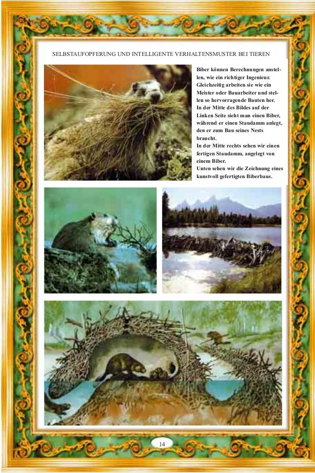 Get Selbstaufopferung For Android Free