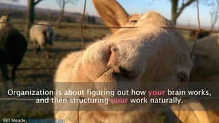 Organization is about figuring out how your brain works,
and then structuring your work naturally.
Bill Meade, RestartGTD.com
 