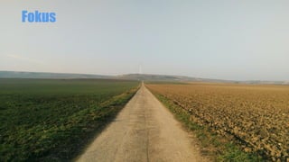 Fokus
 