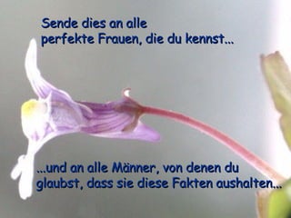 Sende dies an alle  perfekte Frauen, die du kennst... ...und an alle Männer, von denen du glaubst, dass sie diese Fakten aushalten... 