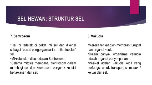 Sel dan organisme111