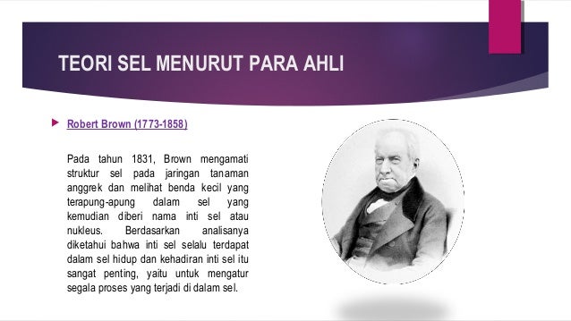 Sel Dan Organisme111 Sel Dan Organisme111