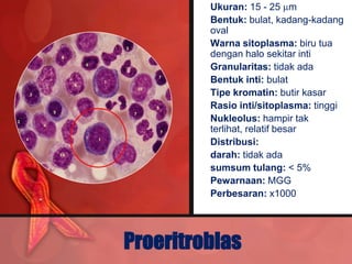 • Ukuran: 15 - 25 m
        • Bentuk: bulat, kadang-kadang
          oval
        • Warna sitoplasma: biru tua
          dengan halo sekitar inti
        • Granularitas: tidak ada
        • Bentuk inti: bulat
        • Tipe kromatin: butir kasar
        • Rasio inti/sitoplasma: tinggi
        • Nukleolus: hampir tak
          terlihat, relatif besar
        • Distribusi:
        • darah: tidak ada
        • sumsum tulang: < 5%
        • Pewarnaan: MGG
        • Perbesaran: x1000




Proeritroblas
 