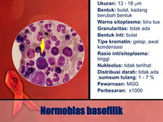 • Ukuran: 13 - 18 m
           • Bentuk: bulat, kadang
             berubah bentuk
           • Warna sitoplasma: biru tua
           • Granularitas: tidak ada
           • Bentuk inti: bulat
           • Tipe kromatin: gelap, awal
             kondensasi
           • Rasio inti/sitoplasma:
             tinggi
           • Nukleolus: tidak terlihat
           • Distribusi darah: tidak ada
             ;sumsum tulang: 1 - 7 %
           • Pewarnaan: MGG
           • Perbesaran: x1000



Normoblas basofilik
 