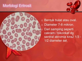 Morfologi Eritrosit


                      o Bentuk bulat atau oval.
                      o Diameter 7-8 mikron.
                      o Dari samping seperti
                        cakram / bikonkaf dg
                        sentral akromia kira2 1/3 -
                        1/2 diameter sel.
 