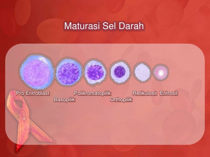 Sel darah merah