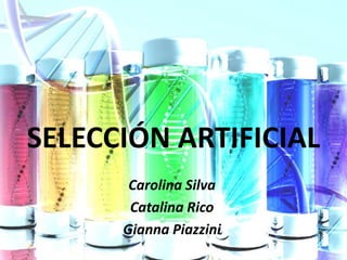 SELECCIÓN ARTIFICIAL
       Carolina Silva
       Catalina Rico
      Gianna Piazzini
 
