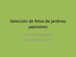 Selección de fotos de jardines
japoneses
Por Teresita Boloquy y
Luz Marina Cuevas

 