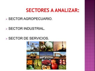  SECTOR AGROPECUARIO.
 SECTOR INDUSTRIAL.
 SECTOR DE SERVICIOS.
 