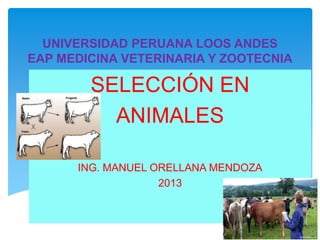 UNIVERSIDAD PERUANA LOOS ANDES
EAP MEDICINA VETERINARIA Y ZOOTECNIA

SELECCIÓN EN
ANIMALES
ING. MANUEL ORELLANA MENDOZA
2013

 