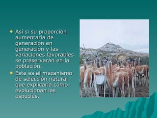 Así si su proporción aumentaría de generación en generación y las variaciones favorables se preservarán en la población. Este es el mecanismo de selección natural que explicaría cómo evolucionan las especies. 