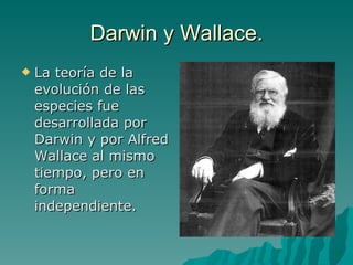 Darwin y Wallace. La teoría de la evolución de las especies fue desarrollada por Darwin y por Alfred Wallace al mismo tiempo, pero en forma independiente. 