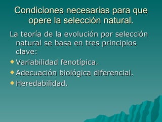 Condiciones necesarias para que opere la selección natural. La teoría de la evolución por selección natural se basa en tres principios clave: Variabilidad fenotípica. Adecuación biológica diferencial. Heredabilidad. 