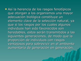 Así la herencia de los rasgos fenotípicos que otorgan a los organismos una mayor adecuación biológica constituye un elemento clave de la selección natural, ya que si los rasgos por los cuales algunos individuos han sido favorecidos son heredables, estos serán transmitidos a las siguientes generaciones, de modo que la proporción de individuos con rasgos ventajosos para sobrevivir en el ambiente aumentaría de generación en generación. 