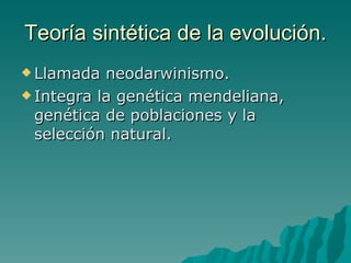 Teoría sintética de la evolución. Llamada neodarwinismo. Integra la genética mendeliana, genética de poblaciones y la selección natural. 