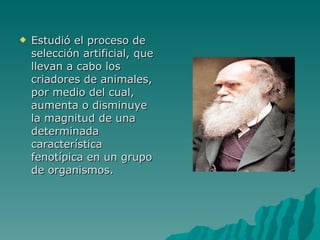 Estudió el proceso de selección artificial, que llevan a cabo los criadores de animales, por medio del cual, aumenta o disminuye la magnitud de una determinada característica fenotípica en un grupo de organismos. 