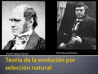 Charles Robert Darwin Alfred RusselWallace
 