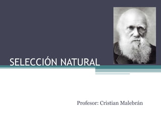 SELECCIÓN NATURAL
Profesor: Cristian Malebrán
 