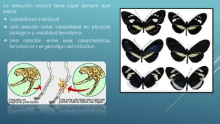 La selección natural tiene lugar siempre que 
exista: 
 Variabilidad individual 
 Una relación entre variabilidad en eficacia 
biológica y viabilidad fenotípica 
 Una relación entre esas características 
fenotípicas y el genotipo del individuo 
 