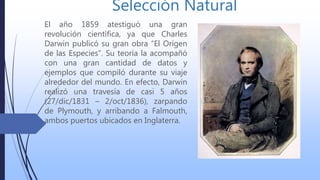 Selección Natural
El año 1859 atestiguó una gran
revolución científica, ya que Charles
Darwin publicó su gran obra “El Origen
de las Especies”. Su teoría la acompañó
con una gran cantidad de datos y
ejemplos que compiló durante su viaje
alrededor del mundo. En efecto, Darwin
realizó una travesía de casi 5 años
(27/dic/1831 – 2/oct/1836), zarpando
de Plymouth, y arribando a Falmouth,
ambos puertos ubicados en Inglaterra.
 