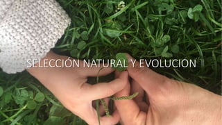 SELECCIÓN NATURAL Y EVOLUCION
 