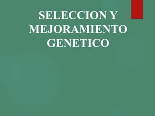 SELECCION Y
MEJORAMIENTO
GENETICO
 