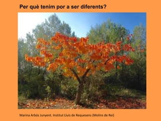 Per què tenim por a ser diferents?
Marina Arbós Junyent. Institut Lluís de Requesens (Molins de Rei)
 