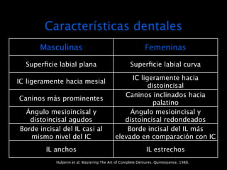 Características dentales
       Masculinas                                             Femeninas

  Superﬁcie labial plana                             Superﬁcie labial curva

                                                  IC ligeramente hacia
IC ligeramente hacia mesial
                                                        distoincisal
                                                Caninos inclinados hacia
Caninos más prominentes
                                                          palatino
  Ángulo mesioincisal y                           Ángulo mesioincisal y
   distoincisal agudos                          distoincisal redondeados
Borde incisal del IL casi al                     Borde incisal del IL más
   mismo nivel del IC                        elevado en comparación con IC
                                                         y canino
        IL anchos                                      IL estrechos
            Halperin et al. Mastering The Art of Complete Dentures. Quintessence, 1988.
 