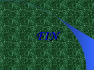 FIN 