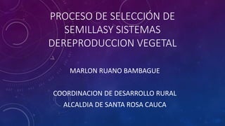 PROCESO DE SELECCIÓN DE
SEMILLASY SISTEMAS
DEREPRODUCCION VEGETAL
MARLON RUANO BAMBAGUE
COORDINACION DE DESARROLLO RURAL
ALCALDIA DE SANTA ROSA CAUCA
 
