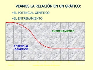 EDAD EL POTENCIAL GENÉTICO  EL ENTRENAMIENTO. VEAMOS LA RELACIÓN EN UN GRÁFICO: POTENCIAL GENETICO ENTRENAMIENTO 10  12  14  16  18  20  22  24  26 