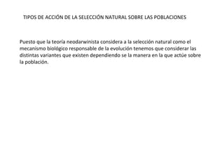 TIPOS DE ACCIÓN DE LA SELECCIÓN NATURAL SOBRE LAS POBLACIONES Puesto que la teoría neodarwinista considera a la selección natural como el mecanismo biológico responsable de la evolución tenemos que considerar las distintas variantes que existen dependiendo se la manera en la que actúe sobre la población. 