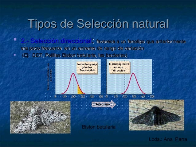 Tipos De Seleccion Natural Mecanismos Y Barreras www.slideshare.net