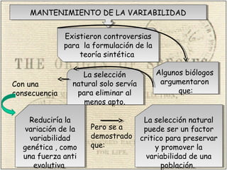 MANTENIMIENTO DE LA VARIABILIDADMANTENIMIENTO DE LA VARIABILIDAD
Existieron controversias
para la formulación de la
teoría sintética
Existieron controversias
para la formulación de la
teoría sintética
Algunos biólogos
argumentaron
que:
Algunos biólogos
argumentaron
que:
La selección
natural solo servía
para eliminar al
menos apto.
La selección
natural solo servía
para eliminar al
menos apto.
Con una
consecuencia
Reduciría la
variación de la
variabilidad
genética , como
una fuerza anti
evolutiva
Reduciría la
variación de la
variabilidad
genética , como
una fuerza anti
evolutiva
Pero se a
demostrado
que:
La selección natural
puede ser un factor
critico para preservar
y promover la
variabilidad de una
población.
La selección natural
puede ser un factor
critico para preservar
y promover la
variabilidad de una
población.
 