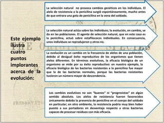 La selección natural no provoca cambios genéticos en los individuos. El
alelo de resistencia a la penicilina surgió espontáneamente, mucho antes
de que entrara una gota de penicilina en la vena del soldado.
La selección natural actúa sobre los individuos; la evolución, en cambio, se
da en las poblaciones. El agente de selección natural, que en este caso es
la penicilina, actuó sobre estafilococos individuales. En consecuencia,
unos individuos se reprodujeron y otros no.
La evolución es un cambio en la frecuencia de alelos de una población,
debido al desigual éxito reproductivo de los organismos que tienen
alelos diferentes. En términos evolutivos, la eficacia biológica de un
organismo se mide por su éxito reproductivo: en nuestro ejemplo, la
eficacia biológica de las bacterias resistentes a la penicilina fue mayor
que la de las bacterias normales, porque las bacterias resistentes
tuvieron un número mayor de descendencia.
Este ejemplo
ilustra
cuatro
puntos
implorantes
acerca de la
evolución:
Los cambios evolutivos no son “buenos” ni “progresistas” en algún
sentido absoluto. Los alelos de resistencia fueron favorecidos
únicamente debido la presencia de penicilina en el cuerpo del soldado
en particular; en otro ambiente, la resistencia podría muy bien haber
puesto a sus portadores en desventaja respecto a otras bacterias
capaces de procesar residuos con más eficacia.
 