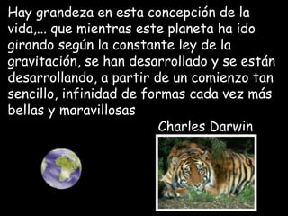 Hay grandeza en esta concepción de la
vida,... que mientras este planeta ha ido
girando según la constante ley de la
gravitación, se han desarrollado y se están
desarrollando, a partir de un comienzo tan
sencillo, infinidad de formas cada vez más
bellas y maravillosas
Charles Darwin
Final Origen
 