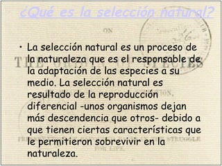 ¿Qué es la selección natural?
• La selección natural es un proceso de
la naturaleza que es el responsable de
la adaptación de las especies a su
medio. La selección natural es
resultado de la reproducción
diferencial -unos organismos dejan
más descendencia que otros- debido a
que tienen ciertas características que
le permitieron sobrevivir en la
naturaleza.
 