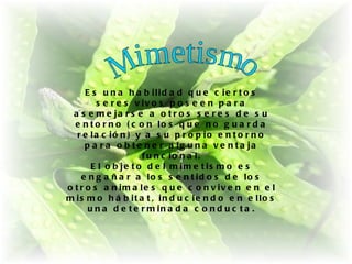 E s u n a h a b ilid a d q u e c ie r t o s
         s e r e s v iv o s p o s e e n p a r a
 a s e m e ja r s e a o t r o s s e r e s d e s u
  e n t o r n o ( c o n lo s q u e n o g u a r d a
   r e la c ió n ) y a s u p r o p io e n t o r n o
      p a r a o b t e n e r a lg u n a v e n t a ja
                      f u n c io n a l.
        E l o b je t o d e l m im e t is m o e s
    e n g a ñ a r a lo s s e n t id o s d e lo s
o t r o s a n im a le s q u e c o n v iv e n e n e l
m is m o h á b it a t , in d u c ie n d o e n e llo s
       u n a d e t e r m in a d a c o n d u c t a .
 