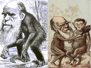 Seleccion natural mv