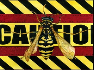 Seleccion natural mv