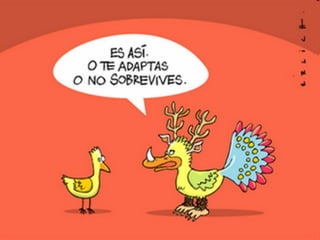 Seleccion natural mv