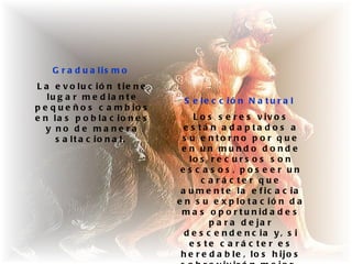 G r a d u a lis m o
L a e v o lu c ió n t ie n e
   lu g a r m e d ia n t e      S e le c c ió n N a t u r a l
p e q u e ñ o s c a m b io s
e n la s p o b la c io n e s        L o s s e r e s v iv o s
   y no de ma ne ra              e s tá n a d a p ta d o s a
     s a lt a c io n a l.       s u e nto rno p o r q ue
                                e n un mundo donde
                                  lo s r e c u r s o s s o n
                                e s c a s os , pos e e r un
                                      c a rá c te r q ue
                                a u m e n t e la e f ic a c ia
                               e n s u e x p lo t a c ió n d a
                                m a s o p o r t u n id a d e s
                                        p a r a d e ja r
                                 d e s c e n d e n c ia y , s i
                                  e s te c a rá c te r e s
                                h e r e d a b le , lo s h ijo s
 